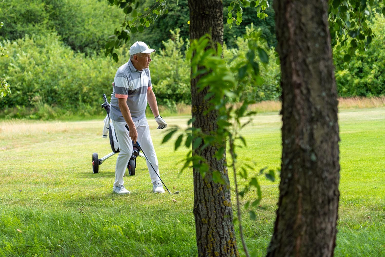 FREZO CUP '24 - A golf tournament that celebrates the harmony between noble sport and artistic heritage