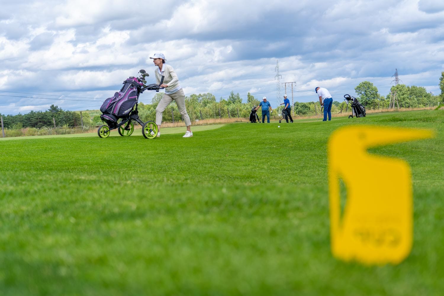 FREZO CUP 'Penguin Pan Edition